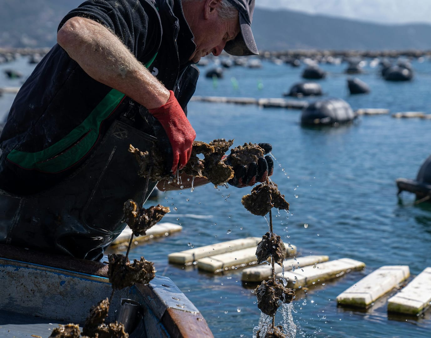 Vermentino Magic: Discover Liguria’s Hidden Gems