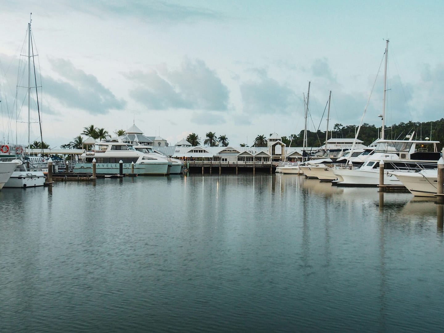 a harbor filled with lots of white boats