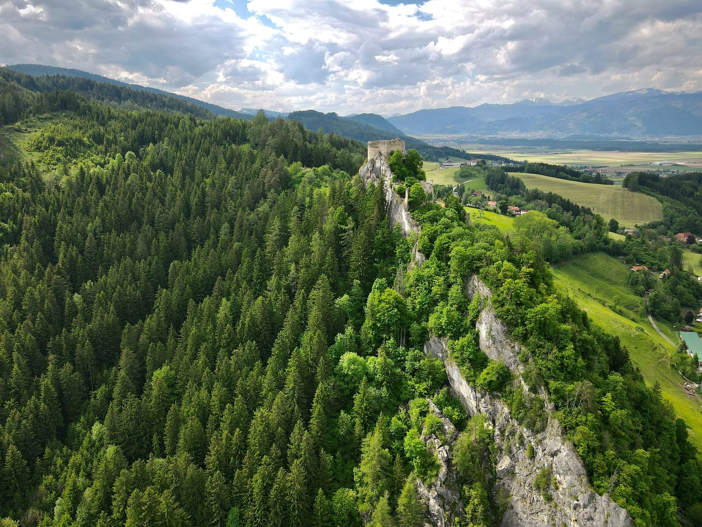 Why Austrian Wine is Captivating a New Generation