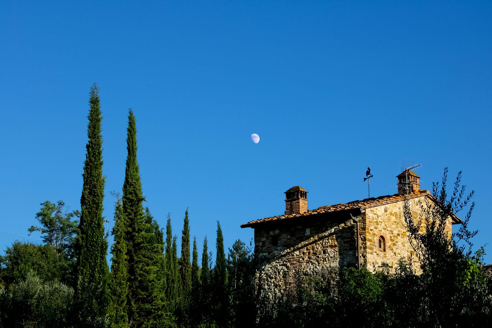 brown concrete building near green trees under blue sky during daytime