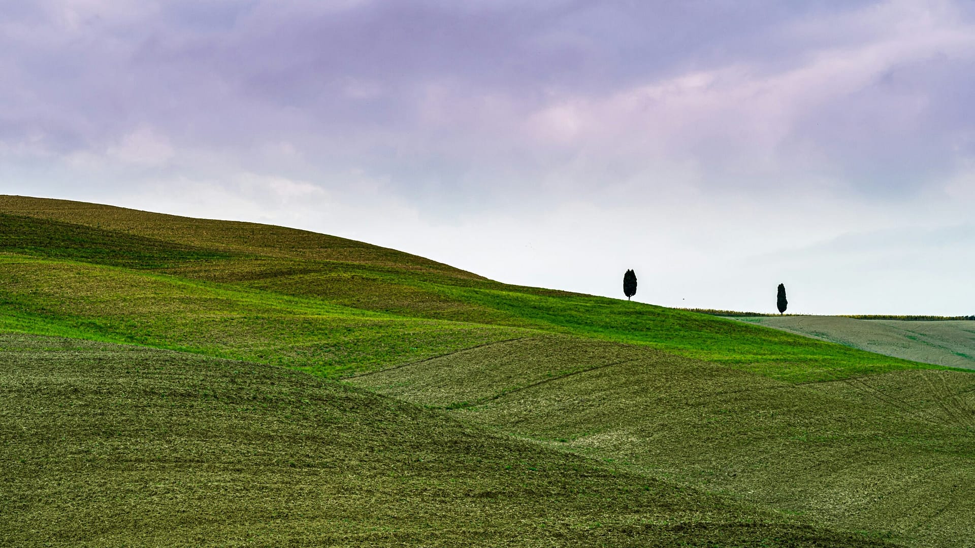 Tuscany Wine: Growth Amidst Global Uncertainties