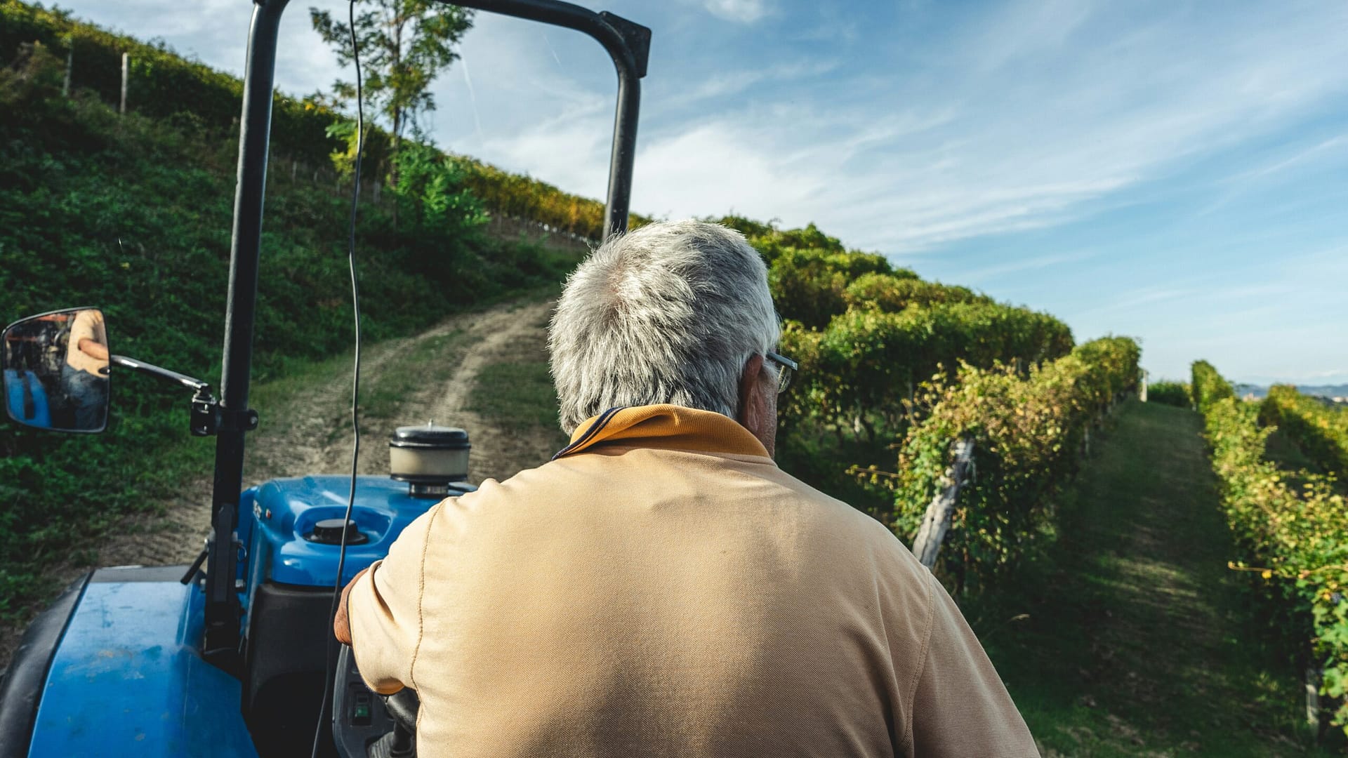 Unlocking Barolo's Charm: A Journey with Bricco Ambrogio